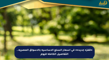 «قفزة جديدة» في أسعار السلع الأساسية بالأسواق المصرية.. التفاصيل الكاملة لليوم
